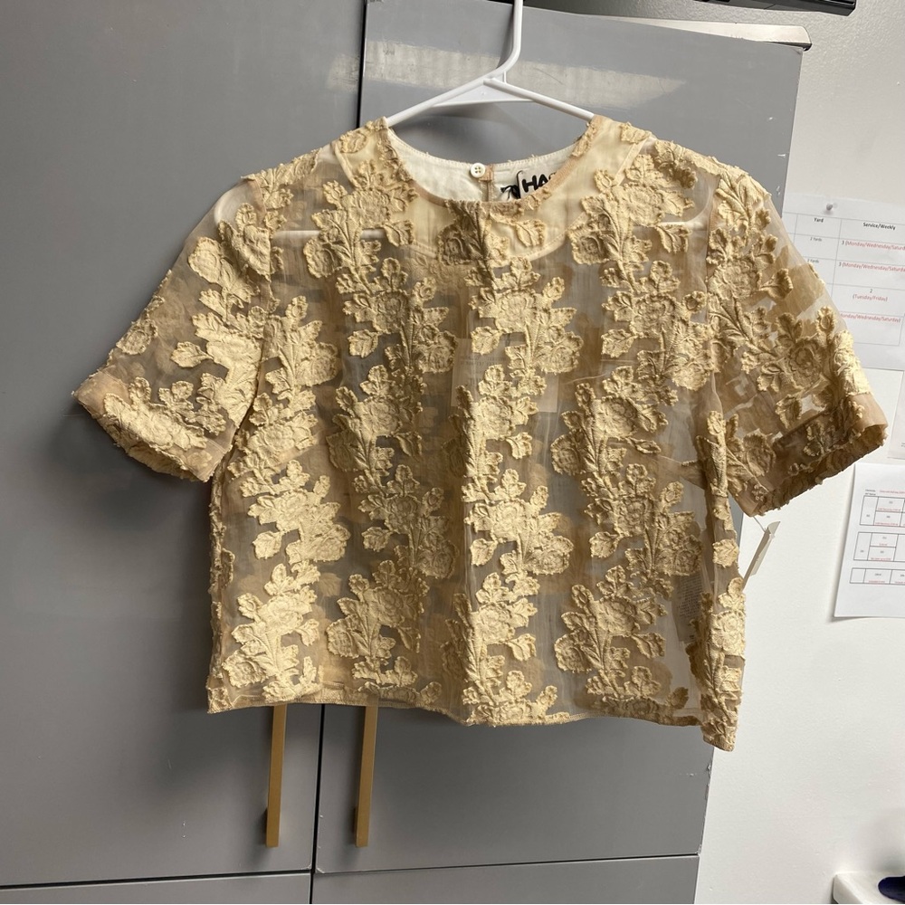 Hache lace sheer dressy crop top sz small